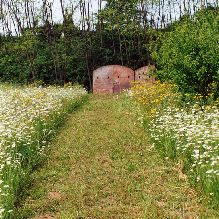 Sentiero tra fiori di campo che conduce ad antichi portali di un forno in laterizio, immersi nel verde del bosco.