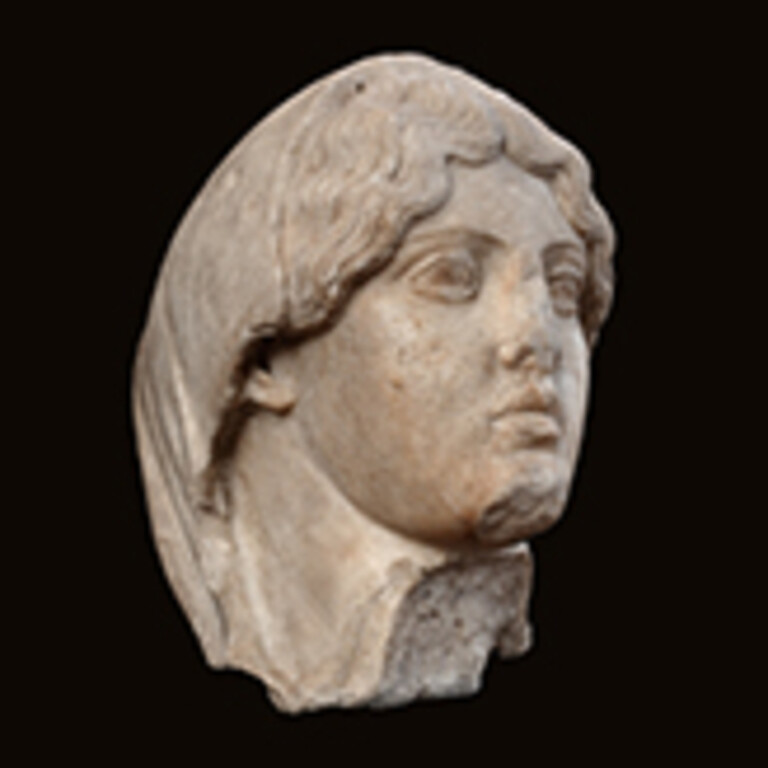 Il nuovo Museo di Archeologia di Pavia apre al pubblico