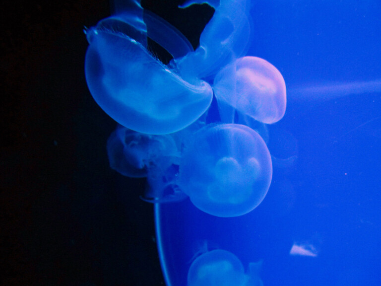 In Viaggio con Gocciolina