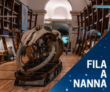MRSN_FIla a Nanna (1)