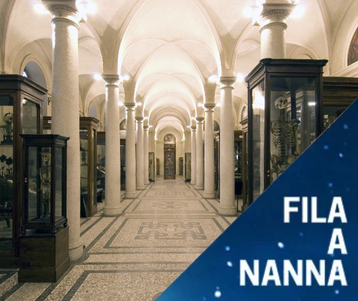 Museo di Anatomia_Fila a Nanna (3)