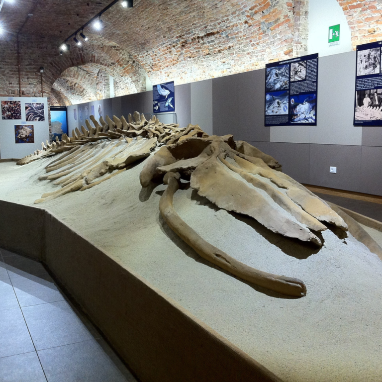 Giornate per le Famiglie – Dicembre