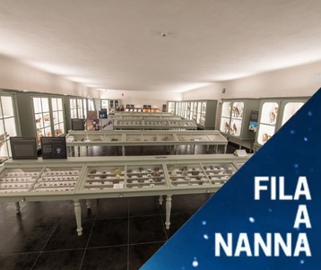 Fila a nanna