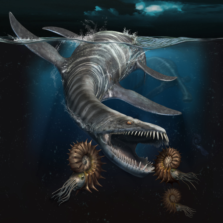 Oceani perduti KOSMOS